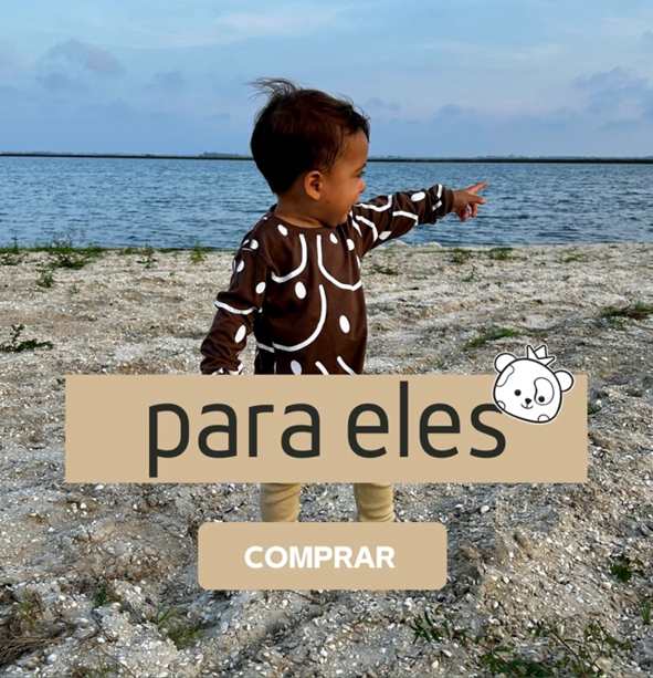 Conjunto Augusto Levi
